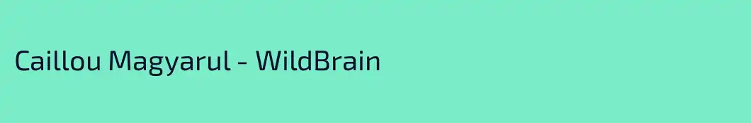 Caillou Magyarul - WildBrain